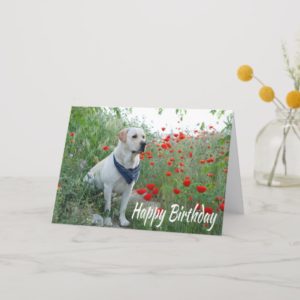 Happy Birthday Yellow Labrador Lab Puppy Dog Card