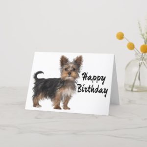 Happy Birthday Yorkshire Terrier Puppy Dog Card