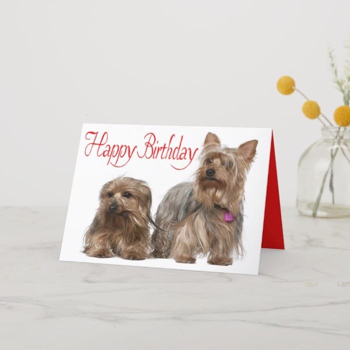 Happy Birthday Yorkshire Terrier Puppy Dog Red Card