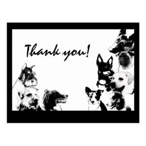Happy dogs, Thank you! Postcard