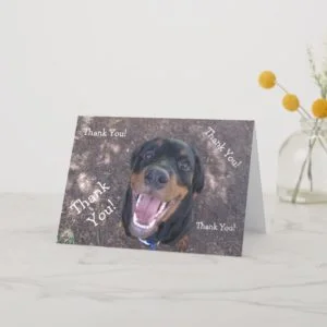 Happy Heidi Rottweiler Thank You Greeting Card