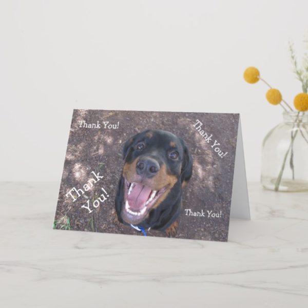 Happy Heidi Rottweiler Thank You Greeting Card