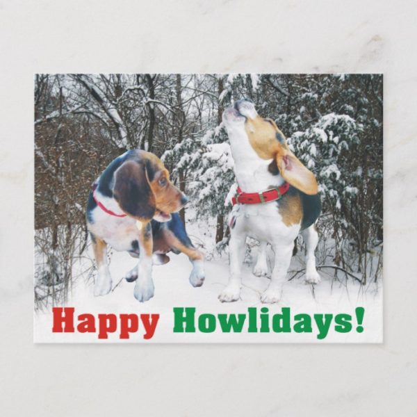Happy Howlidays! Beagle Snowy Woods Post Card