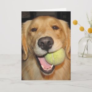 Have a Ball! Card