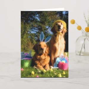 Have a Golden Easter Holiday Card