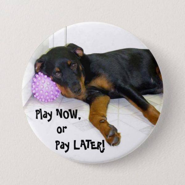 Heidi Play Now, or Pay Later Button