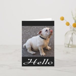 Hello English Bulldog Puppy Dog Blank Note Card