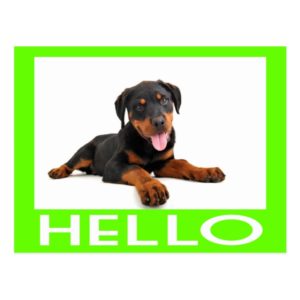 Hello Rottweiler Puppy Dog Greeting Postcard