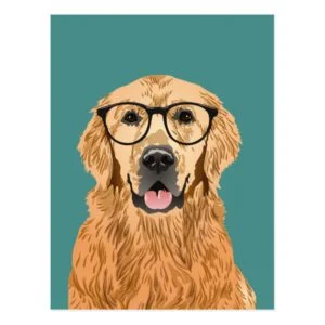 Hipster Golden Retriever Postcard