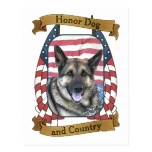 Honor Dog and Country Postcard