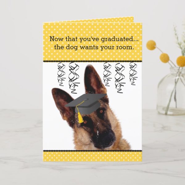 Humorous Graduation Card with German Shepherd