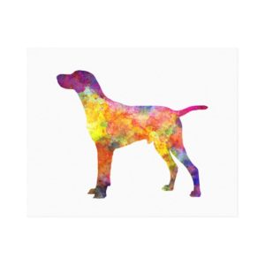 Hungarian Shorthaired Pointer in watercolor Canvas Print