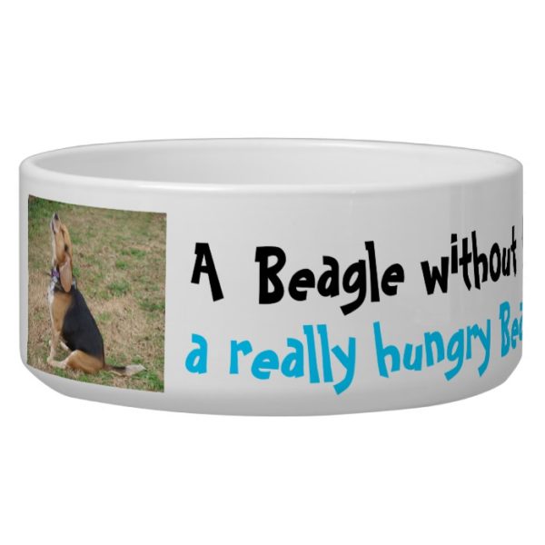 Hungry Beagle Bowl