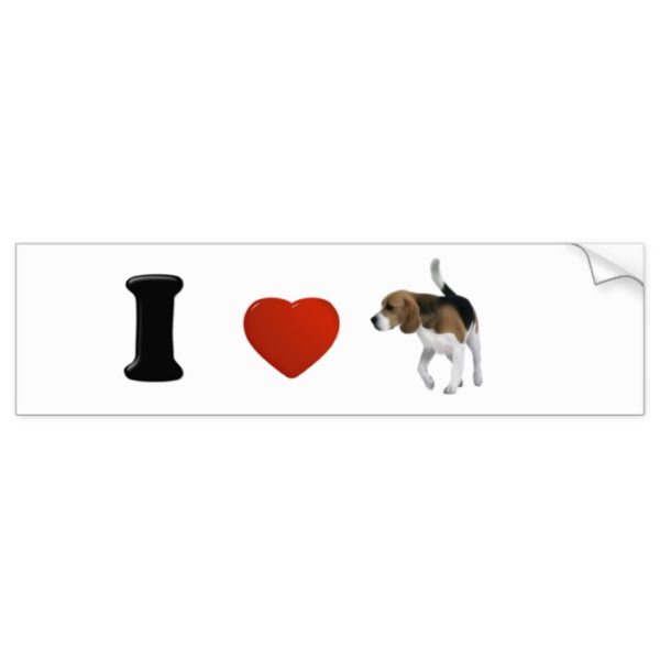 I Love Beagles Bumper Sticker