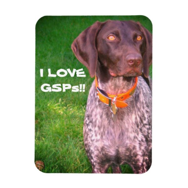 I Love GSPs (German Shorthaired Pointers) Magnet