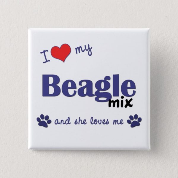 I Love My Beagle Mix (Female Dog) Button