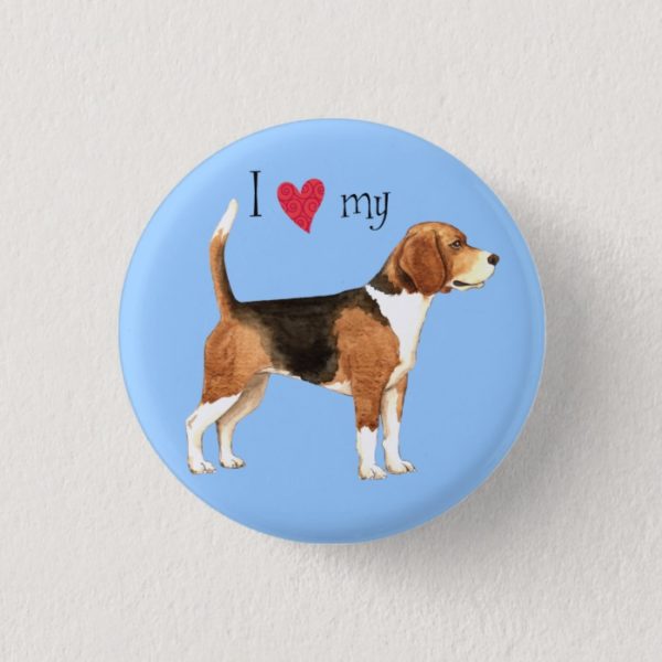 I Love my Beagle Pinback Button