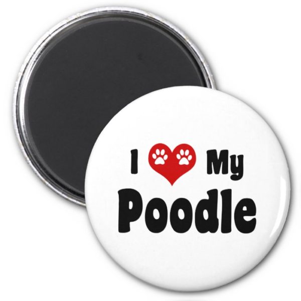I Love My Poodle Magnet