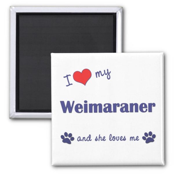 I Love My Weimaraner (Female Dog) Magnet