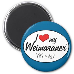 I Love My Weimaraner (It's a Dog) Magnet