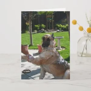 I Love Us German Shepherd Anniversary Card