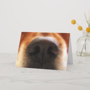 I Smell Cake, Dog Snout, Birthday Greeting Card