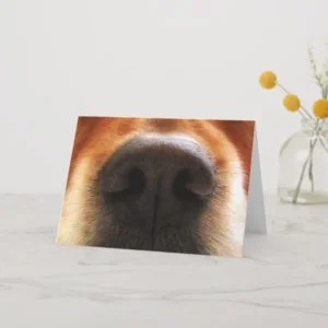 I Smell Cake, Dog Snout, Birthday Greeting Card