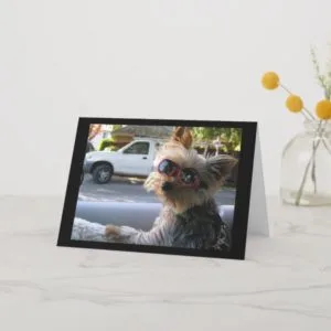 Introducing:JACK! Card