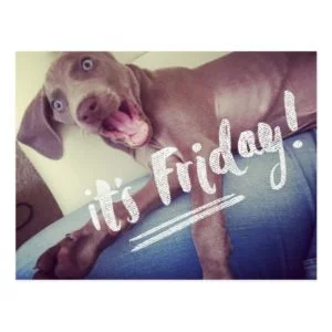 It's Friday! Postcard