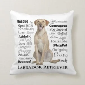 Lab Traits Pillow