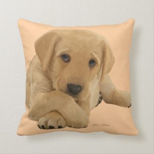 Labrador Puppy - Cushion Throw