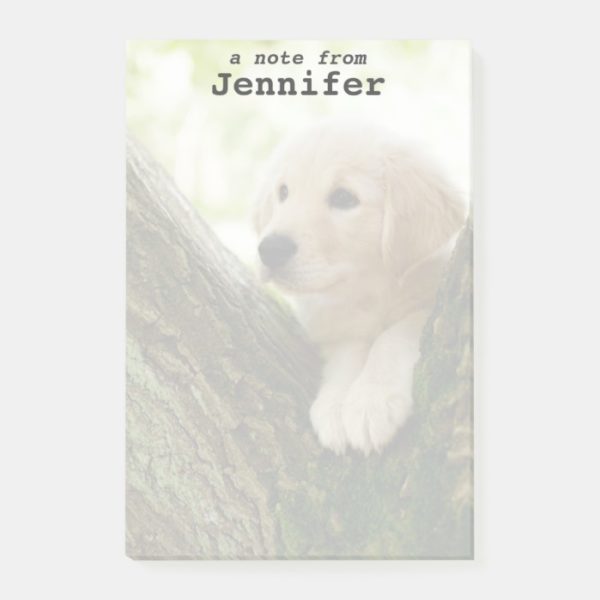 Labrador Puppy Sitting In A Woodland Setting Post-it Notes