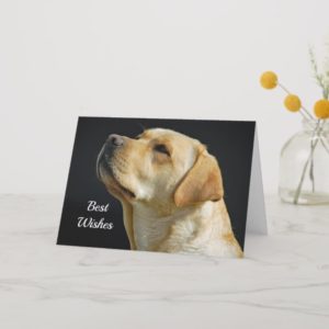 Labrador Retriever Congratulations Wedding Card