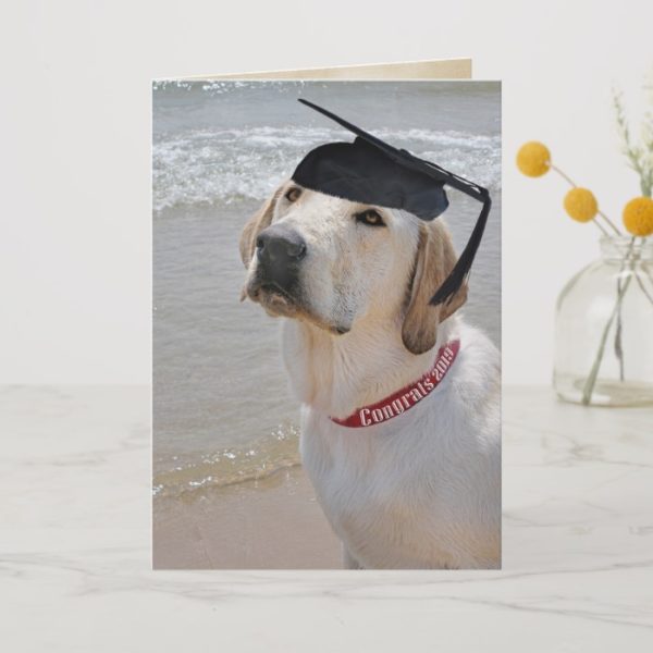Labrador Retriever Graduation 2019 Card