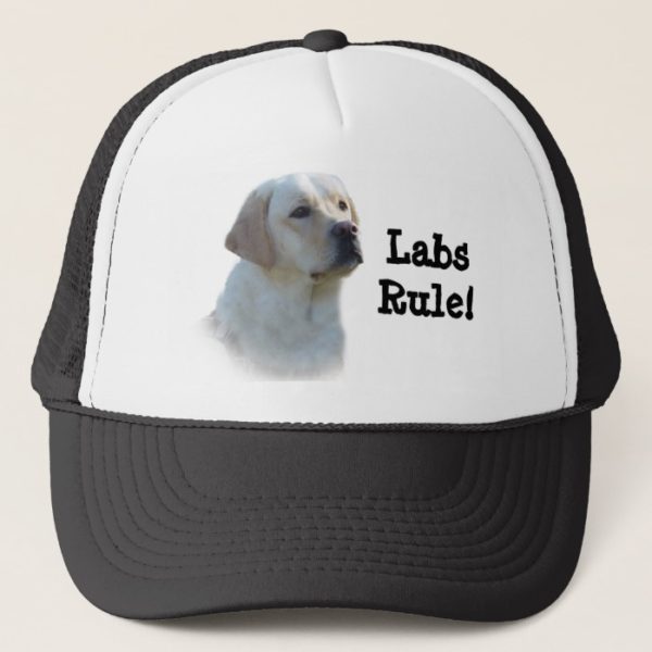Labrador Retriever Hat