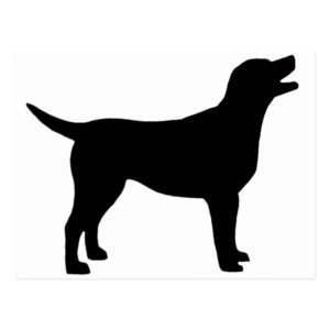 Labrador Retriever (in black) Postcard