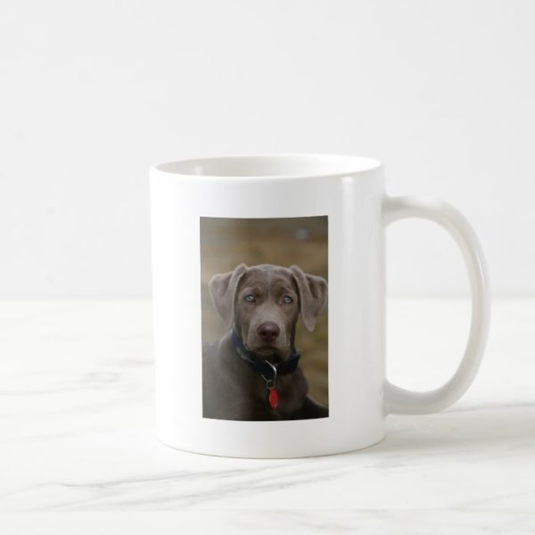 Labrador Retriever In Rare Light Silver Coffee Mug