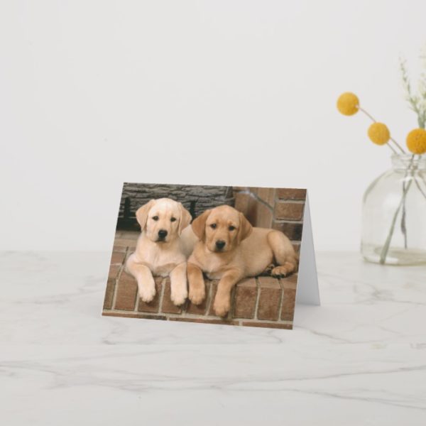 Labrador Retriever Puppy Dogs Note Card