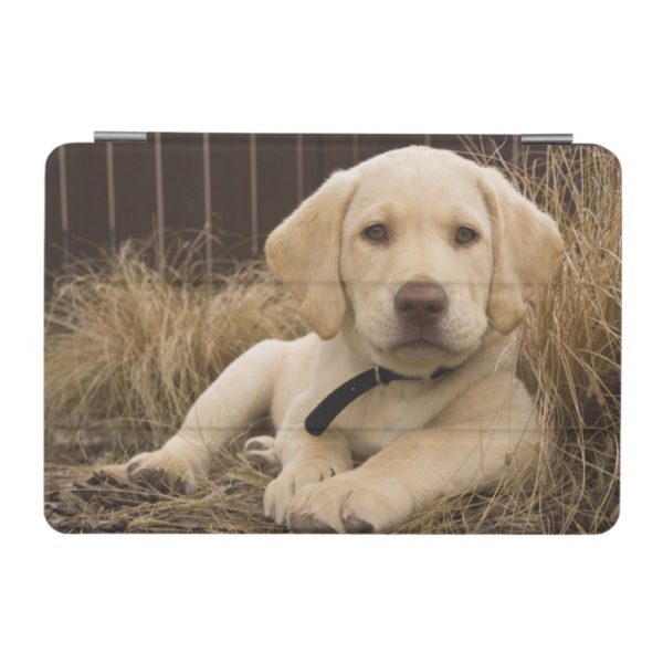 Labrador Retriever puppy iPad Mini Cover