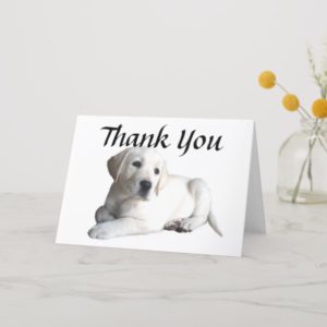 Labrador Retriever Thank You Card