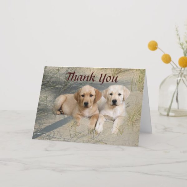 Labrador Retriever Thank You Card Pups On Beach