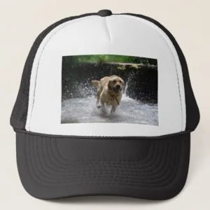 Labrador Trucker Hat