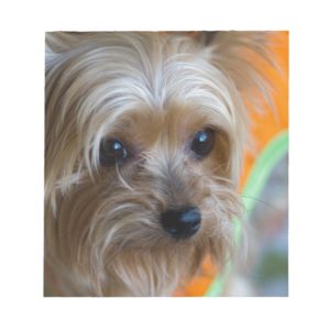 Lady Yorkshire Terrier Puppy Notepad