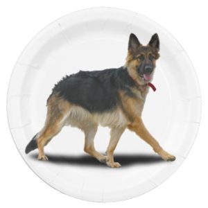 LIBBY PAPER PLATE