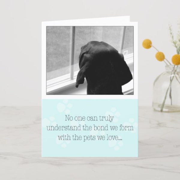 Loss of Pet Dog Sympathy Card Dog Waiting on Owner