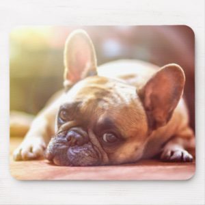Lounging Around French Bulldog Mouse Pad