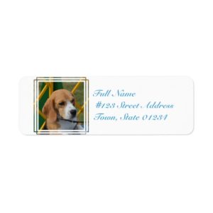 Lovable Beagle Label
