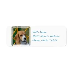 Lovable Beagle Label