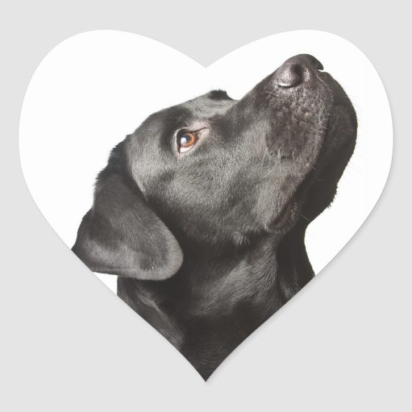 Love Black Labrador Retriever Heart Sticker  Label