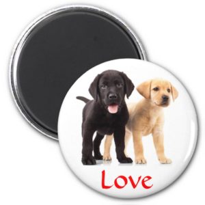 Love Labrador Retriever Puppies Fridge Magnet